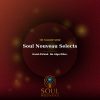 Soul Nouveau Selects